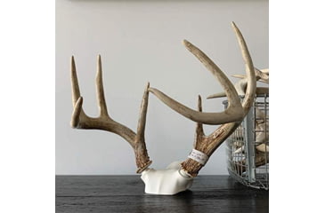 Image of Wicked North Gear The Change Up Antler Display Kit, Black, B801-A002