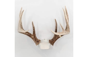 Image of Wicked North Gear The Change Up Antler Display Kit, Black, B801-A002