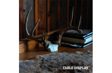 Image of Wicked North Gear The Change Up Antler Display Kit, White, B801-A002