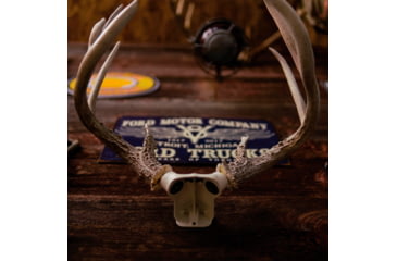 Image of Wicked North Gear The Change Up Antler Display Kit, White, B801-A002