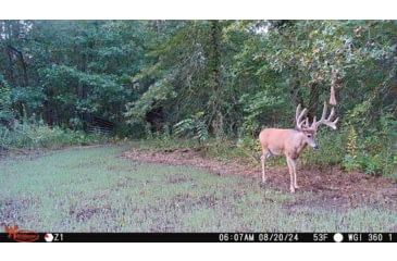 Image of Wildgame Orbit 360 Cellular Camera 36MP, 1410206