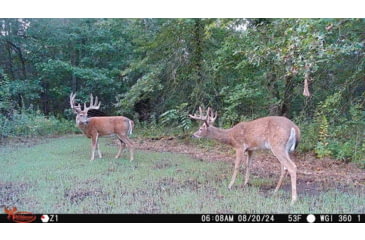 Image of Wildgame Orbit 360 Cellular Camera 36MP, 1410206