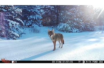 Image of Wildgame Orbit 360 Cellular Camera 36MP, 1410206