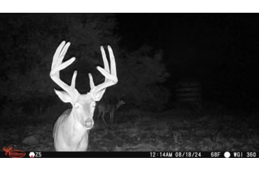 Image of Wildgame Orbit 360 Cellular Camera 36MP, 1410206