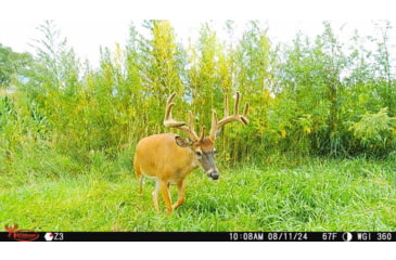 Image of Wildgame Orbit 360 Cellular Camera 36MP, 1410206