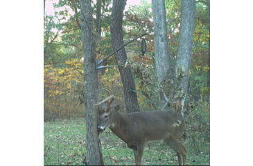 Image of Wildlife Research Center Active-Branch Mock Scrape Kit