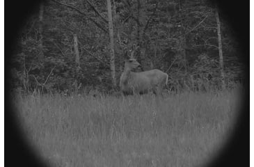 Image of X-Vision Sniper Digital Nightvision Binoculars Deluxe, XANB30