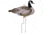 Higdon Outdoors Higdon FLATS Magnum Canada Motion Silhouette Fully Flocked 12/ct 19CA3A01, HG73224