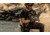 Ace Link Armor Recoil Plate Carrier, Black, One Size, B-PC-RC-BLK-1
