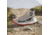Adidas Terrex Free Hiker 2 Shoes - Womens, Wonbei/Cblack/Seimor, 8.5 US, IE5121-8.5