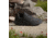 Adidas Terrex ID0895 TERREX ANYLANDER, Mens, CBLACK/CBLACK/GREFOU, 10.5, ID0895-10.5