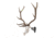 Allen EZ Mount Magnum Skull Hanger, Black, Large, 7223