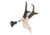 Allen EZ Mount Skull Stand Deer Size, 7203