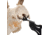 Allen EZ Mount Skull Stand Deer Size, 7203