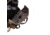 Allen Mesa Deluxe Bino Case w/ Harness, Realtree Edge, 19220