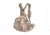 Allen Pathfinder 1230 Daypack, Realtree Xtra 19190