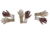 Allen Shocker Turkey Gloves, Mossy Oak Obsession, One Size Fits Most, 1517, 1517