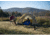 ALPS Mountaineering Taurus 2-Person Outfitter Tent