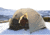 ALPS Mountaineering Taurus 2-Person Outfitter Tent