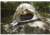 ALPS Mountaineering Taurus 2-Person Outfitter Tent