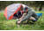 ALPS Mountaineering Chaos 2 Person Tent 5252025