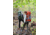 ALPS Mountaineering Red Tail 3900 Pack-Green