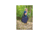 ALPS Mountaineering Rocking Chair, Navy/Charcoal, One Size, 8119953