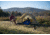 ALPS Mountaineering Taurus 3-Person Outfitter Tent, Tan/Green, 5322915