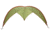 ALPS Mountaineering Tri-Awning