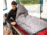 ALPS Mountaineering Zenith +30 Degrees Sleeping Bag, Long, Gray/Red, 4302642