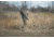 Ameristep Care Taker Magnum Wide Bottom Hunting Blind