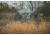 Ameristep Silent Brickhouse Wide Bottom Fire Retardant Hunting Blind