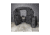 AR500 Armor Aegis Plate Carrier, Black AEGISBLK