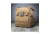 AR500 Armor Aegis Plate Carrier, Coyote AEGISCY