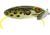 Arbogast Jitterbug Topwater Lure, 2 1/2in, 3/8 oz, Floating, Bull Frog, G600-509