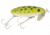Arbogast Jitterbug Topwater Lure, 2 1/2in, 3/8 oz, Floating, Frog/White Belly, G600-06