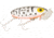 Arbogast Jitterbug Topwater Lure, 2 1/2in, 3/8 oz, Floating, oachdog/Orange Belly, G600-09