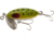 Arbogast Jitterbug Topwater Lure, 2in, 1/4 oz, Floating, Wounded Frog, G630-FW