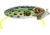 Arbogast Jitterbug Topwater Lure, 3in, 5/8 oz, Floating, Leopard Frog, G650-507