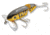 Arbogast Jointed Jitterbug Topwater Lure, 2 1/2in, 3/8 oz, Floating, Perch, G620-05