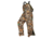 Arctic Shield Classic Elite Bib, Realtree Edge, 2XL 533200-804-060-18