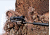 Armasight CO-LR ID MG Night Vision Long Range Clip-On System Gen 2+ Improved Definition w/ Manual Gain NSCCOLR00129DI1