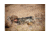 Armasight CO-Mini 3 Bravo MG Night Vision Mini Clip-On System Gen 3 w/ Manual Gain NSCCOMINI139DB1