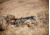Armasight CO-Mini Hdi Night Vision Mini Clip-On System  Gen 2+ High Definition NSCCOMINI126IH1