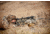 Armasight Gen 2+ Day/Night Vision Clip-On System, Extended Def NSCCOMINI129DE1