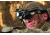 Armasight Multi-Purpose 51 degree FOV Night Vision Monocular Gen 3, High-Performance Thin-Filmed Auto-Gated IIT, Black, 2.2 x 2 x 4.5, NAMPVS14M5P9DA1