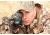 Armasight Prime 5x Gen 1+ Night Vision Monocular