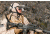 Armasight PVS-7 Night Vision Goggle Delta Accessory Kit, Gen 3 Tube NAMPVS7DE133DA1
