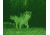 ATN NVB5X-CGTI Night Vision Bi-Ocular NVBNB05XCI