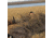 Avery Outdoors M-2 Blind,KW-1 1399